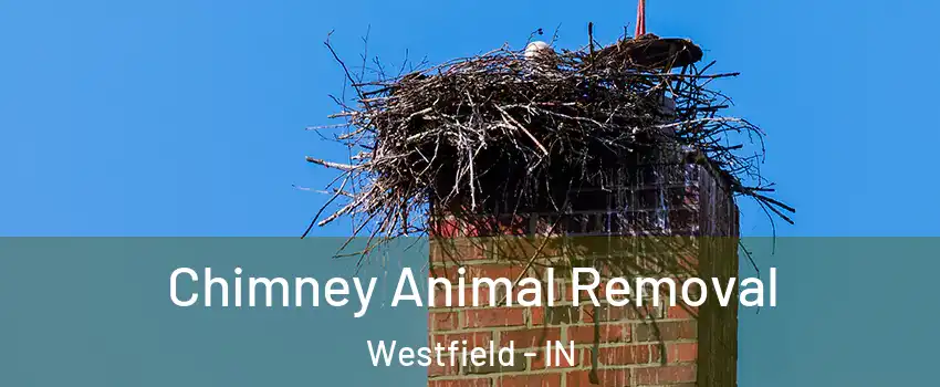 Chimney Animal Removal Westfield - IN