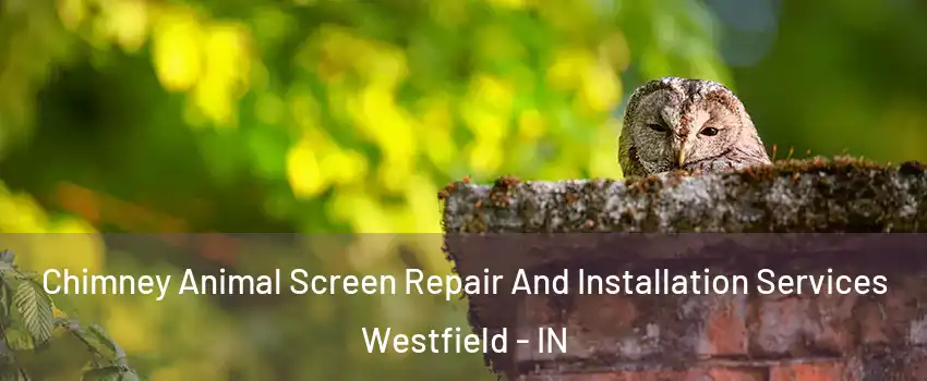  Chimney Animal Screen Repair And Installation Services Westfield - IN