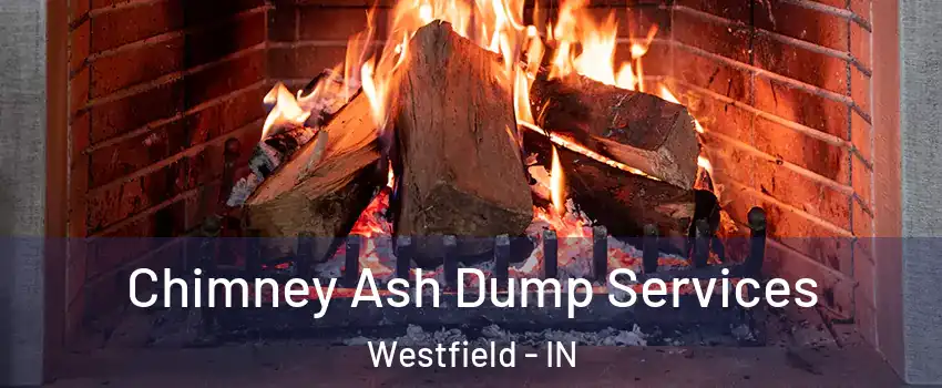  Chimney Ash Dump Services Westfield - IN