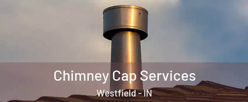  Chimney Cap Services Westfield - IN