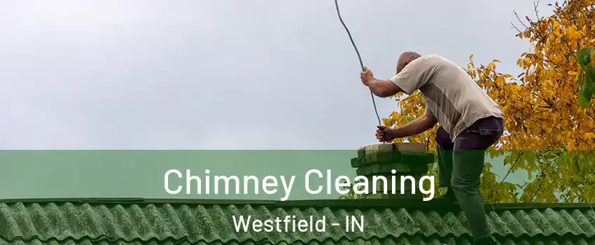  Chimney Cleaning Westfield - IN
