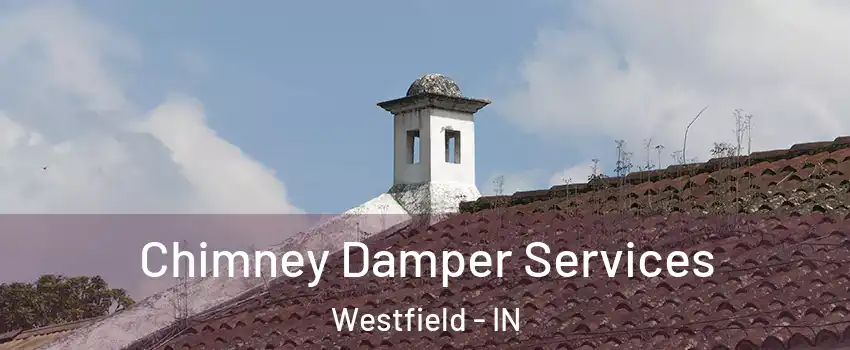  Chimney Damper Services Westfield - IN