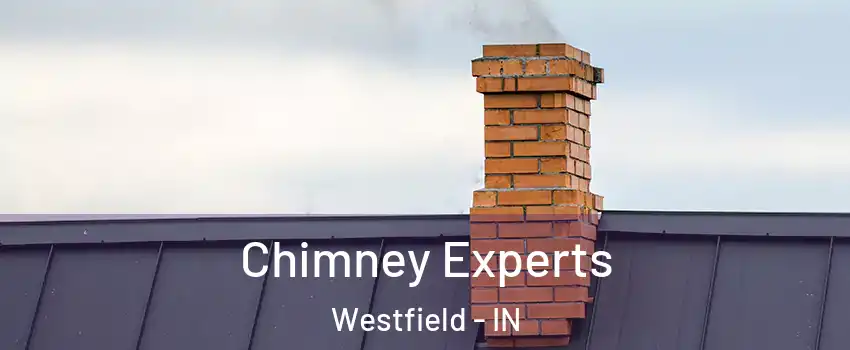 Chimney Experts Westfield - IN
