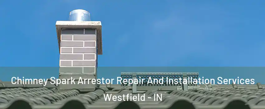  Chimney Spark Arrestor Repair And Installation Services Westfield - IN