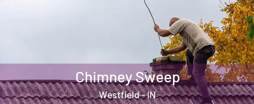  Chimney Sweep Westfield - IN