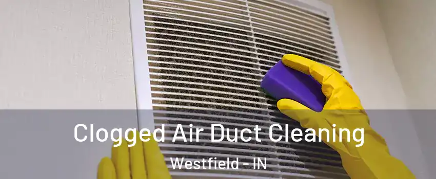  Clogged Air Duct Cleaning Westfield - IN