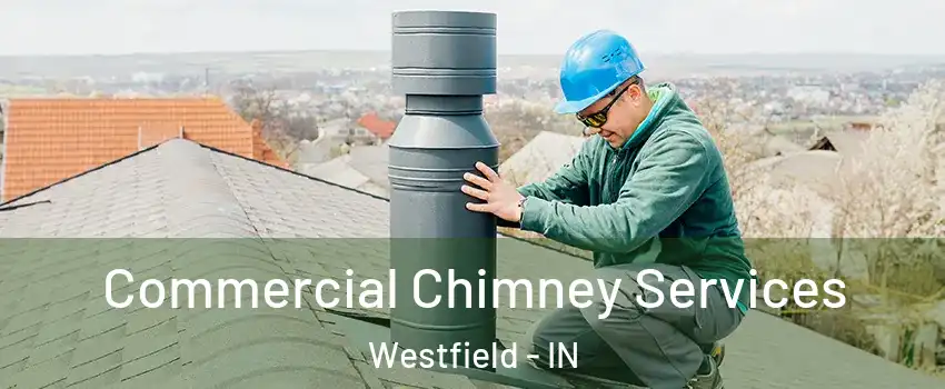  Commercial Chimney Services Westfield - IN