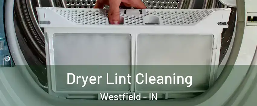  Dryer Lint Cleaning Westfield - IN