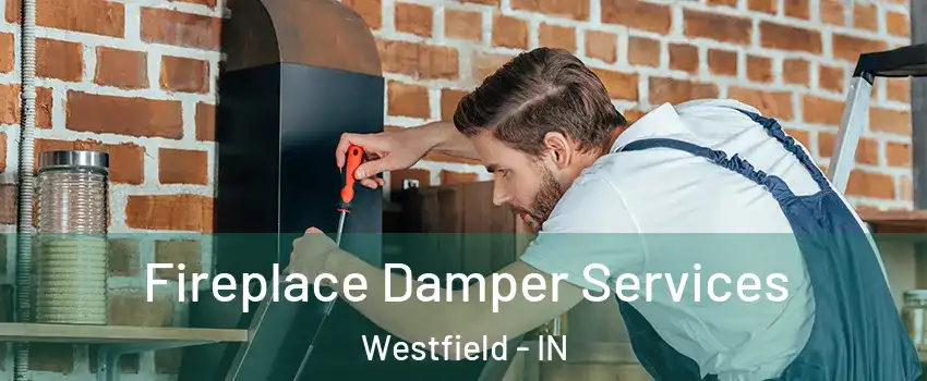  Fireplace Damper Services Westfield - IN