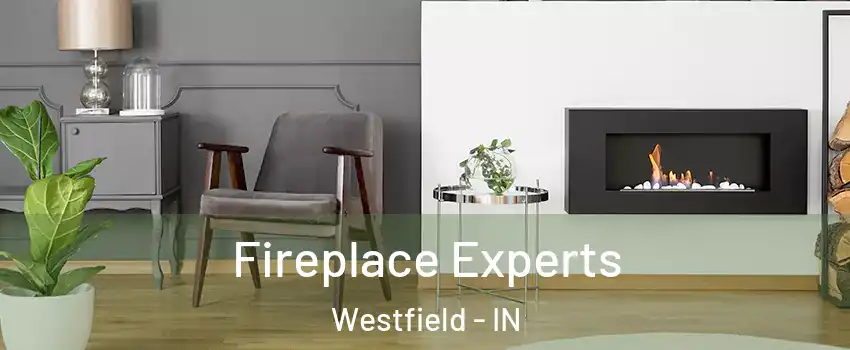  Fireplace Experts Westfield - IN