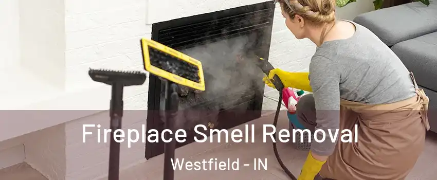  Fireplace Smell Removal Westfield - IN