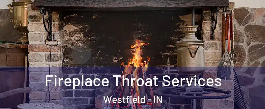  Fireplace Throat Services Westfield - IN