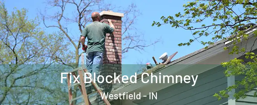 Fix Blocked Chimney Westfield - IN