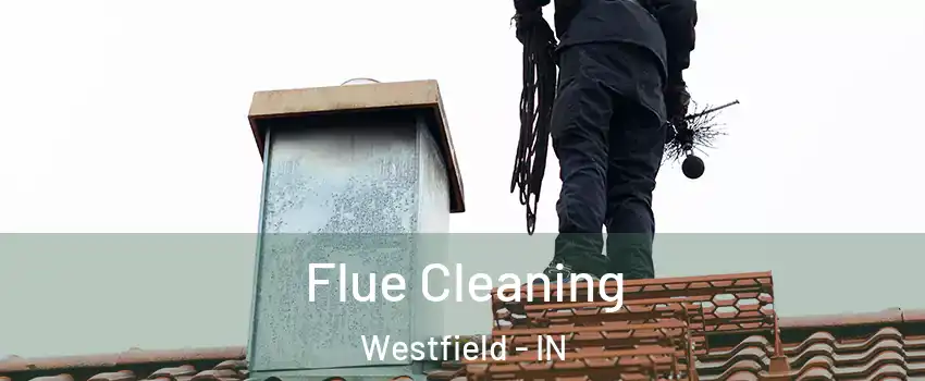  Flue Cleaning Westfield - IN