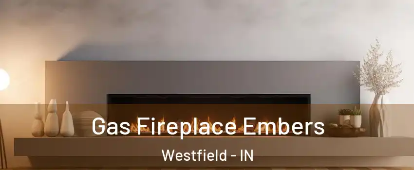  Gas Fireplace Embers Westfield - IN