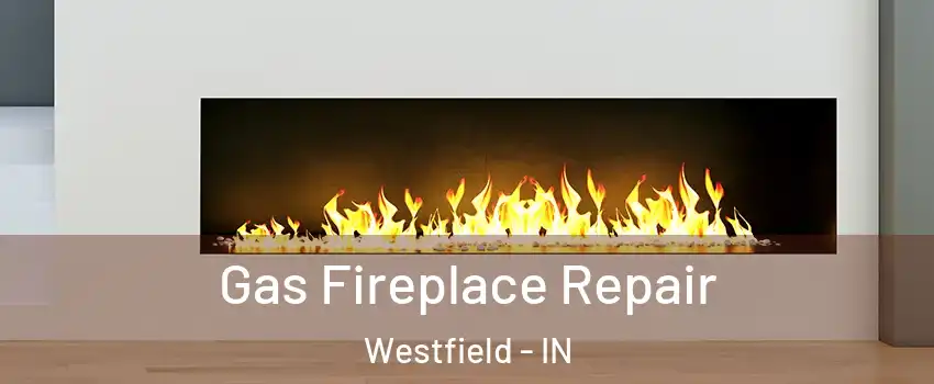  Gas Fireplace Repair Westfield - IN