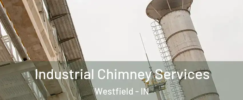 Industrial Chimney Services Westfield - IN