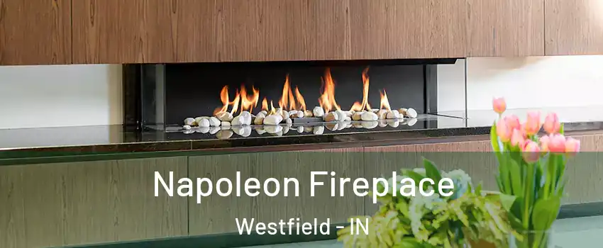  Napoleon Fireplace Westfield - IN